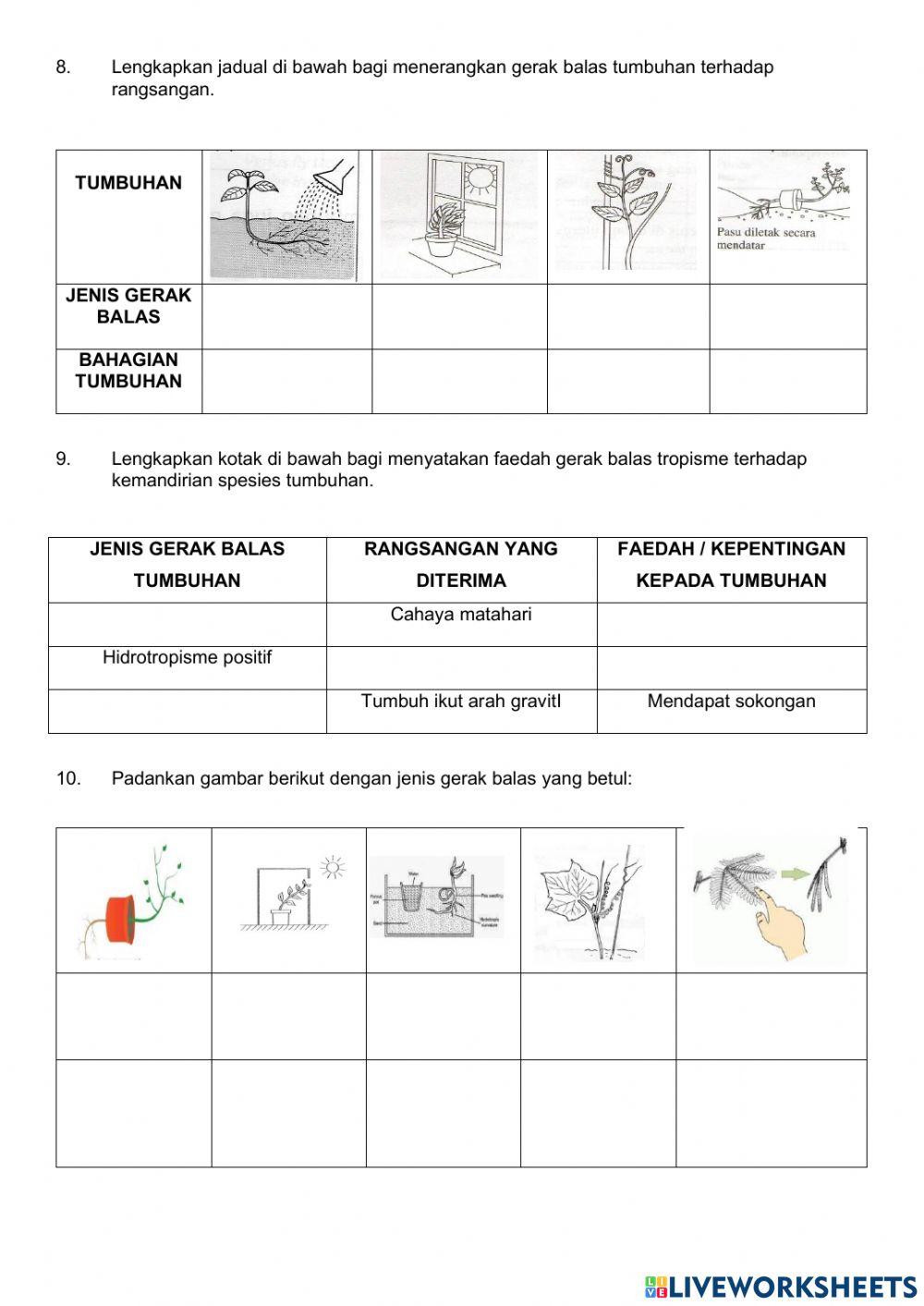 Gerak balas tumbuhan