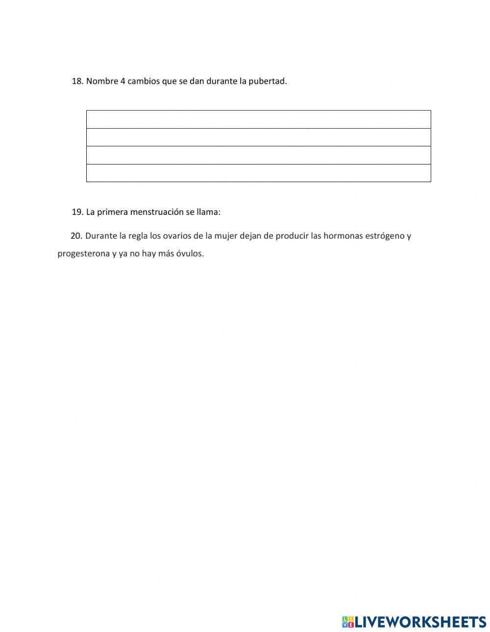 Sistema Reproductor Masculino y Femenio