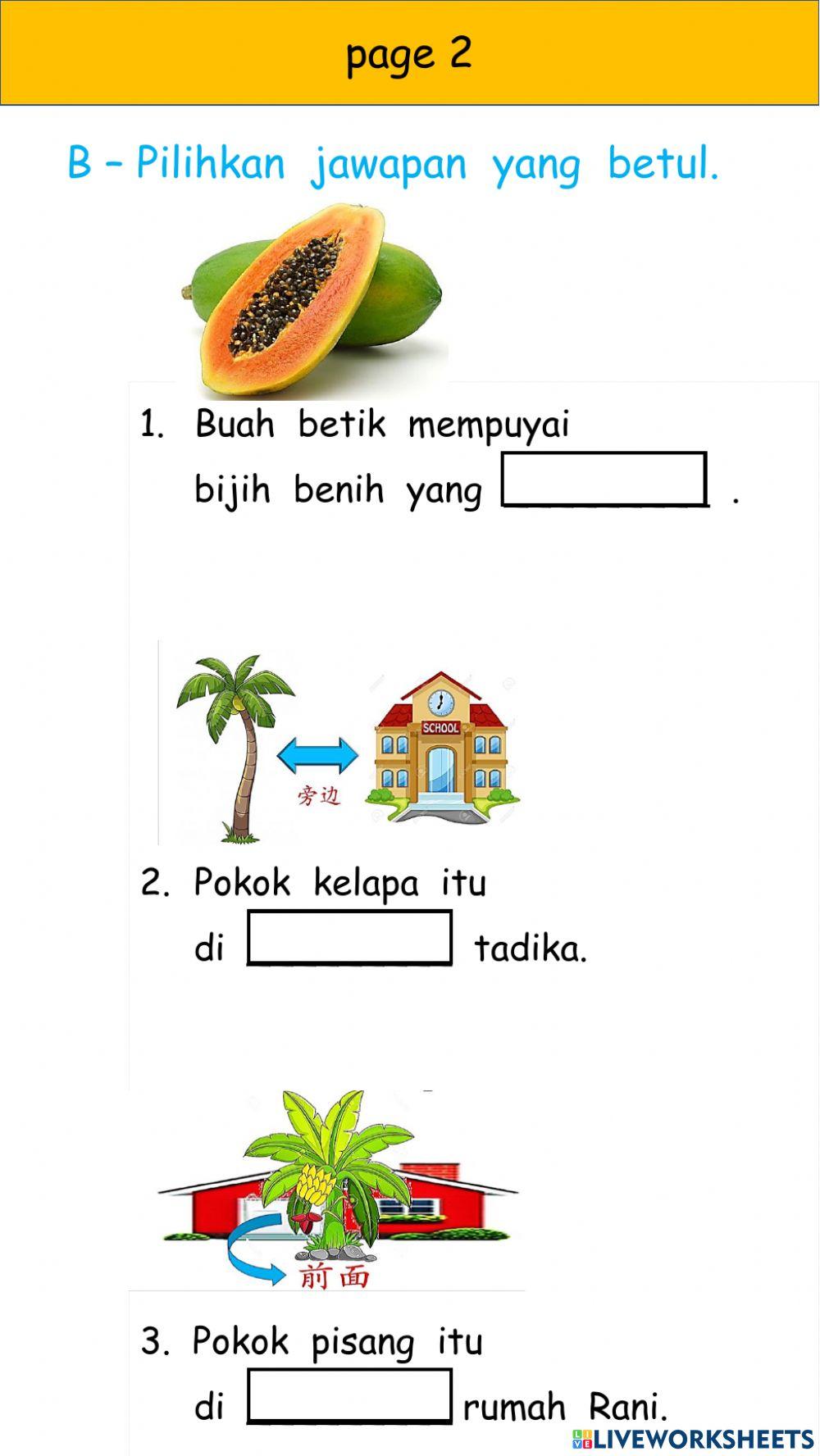 P3 - Term 2 - Bahasa Revision