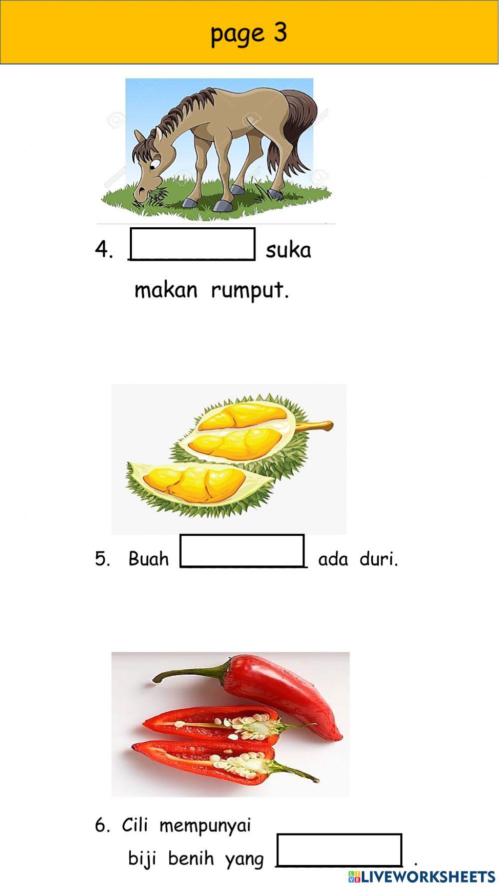 P3 - Term 2 - Bahasa Revision