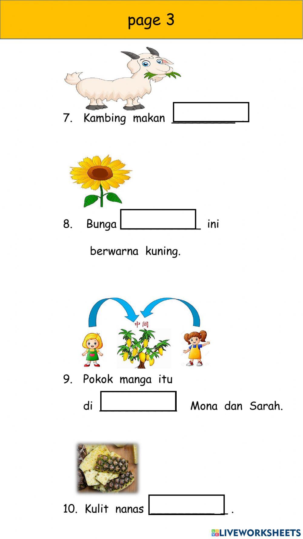 P3 - Term 2 - Bahasa Revision