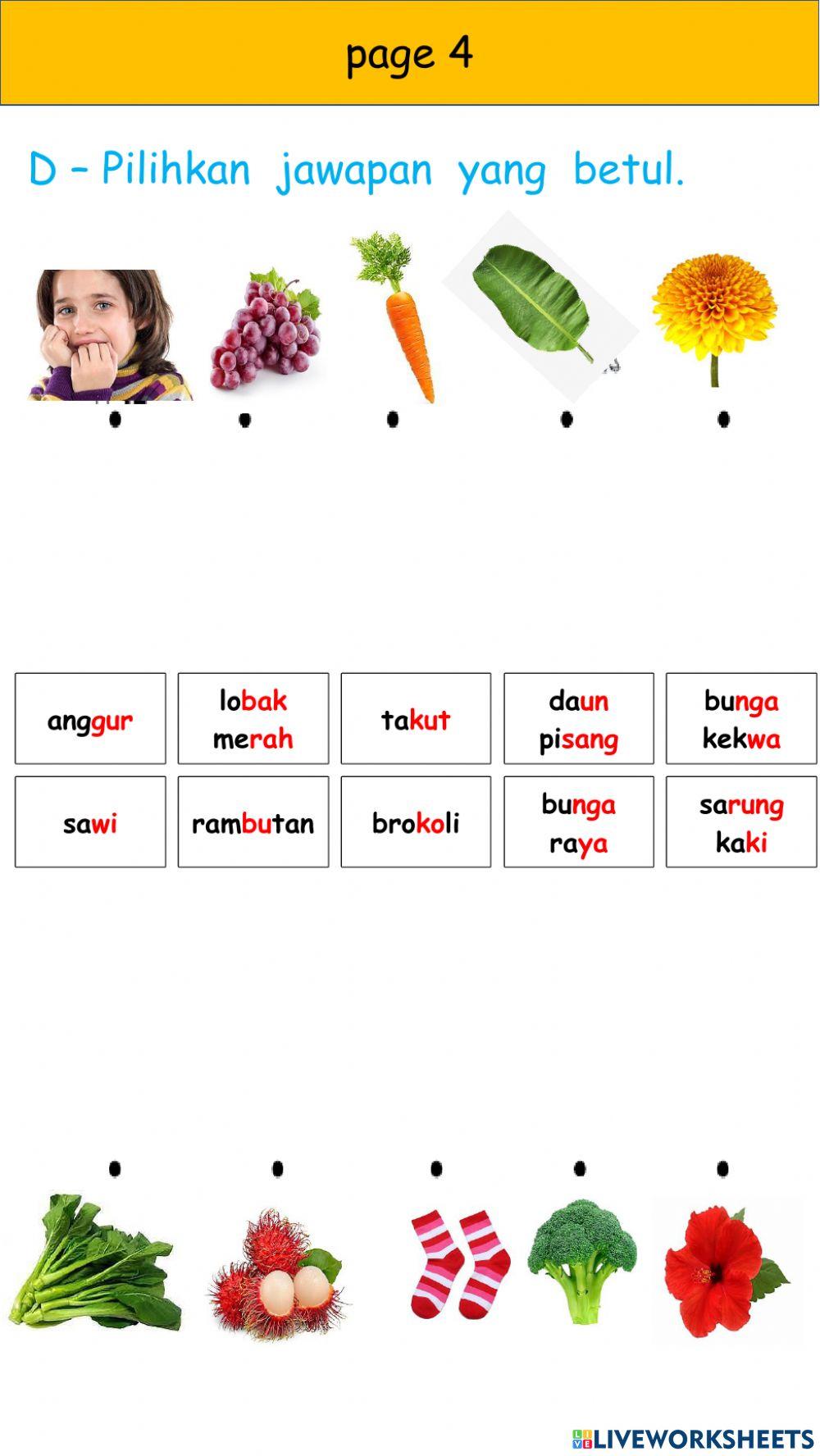 P3 - Term 2 - Bahasa Revision