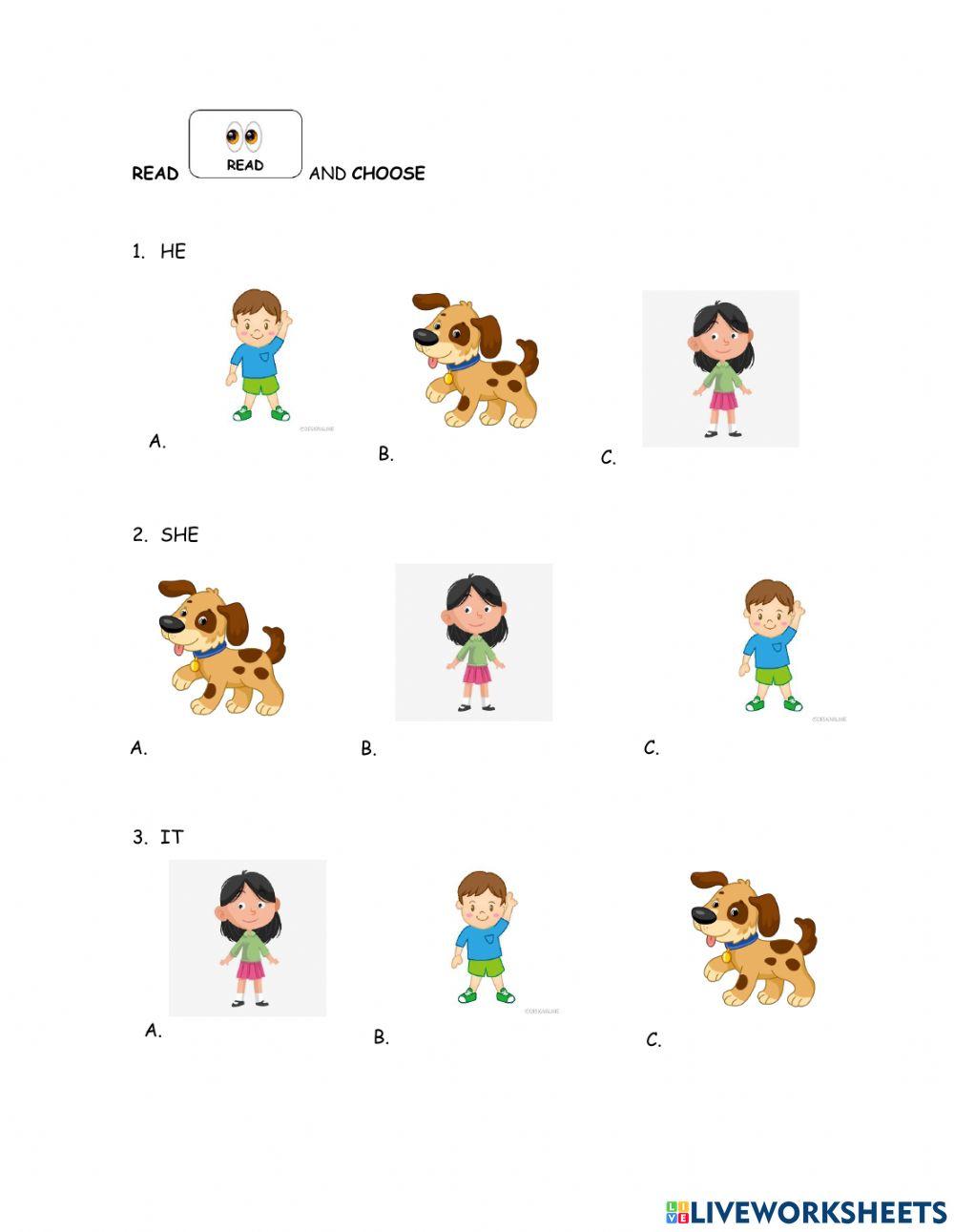 He, she, it | Free Interactive Worksheets | 1004337