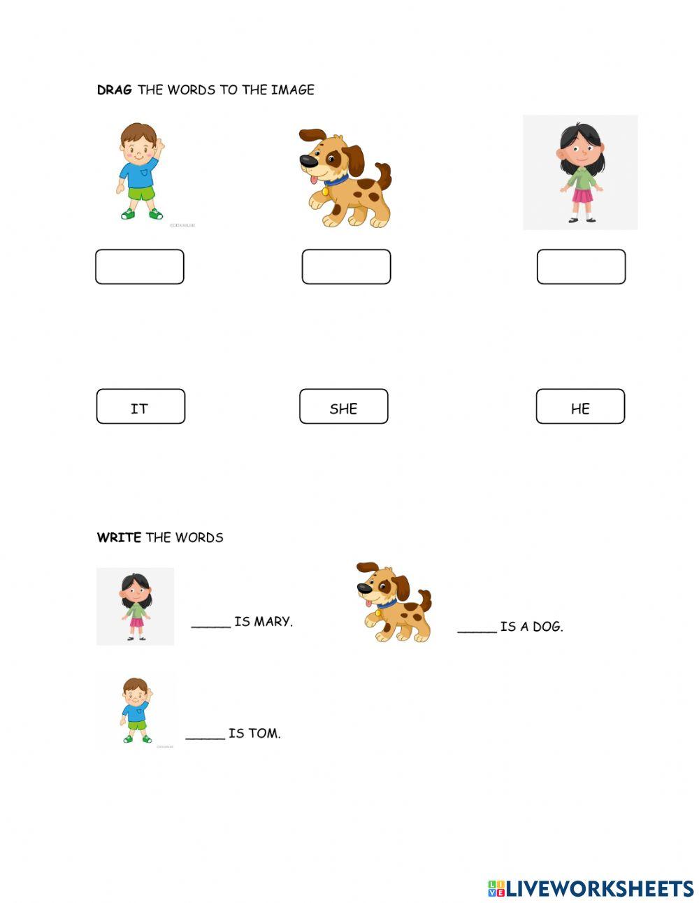He, she, it | Free Interactive Worksheets | 1004337