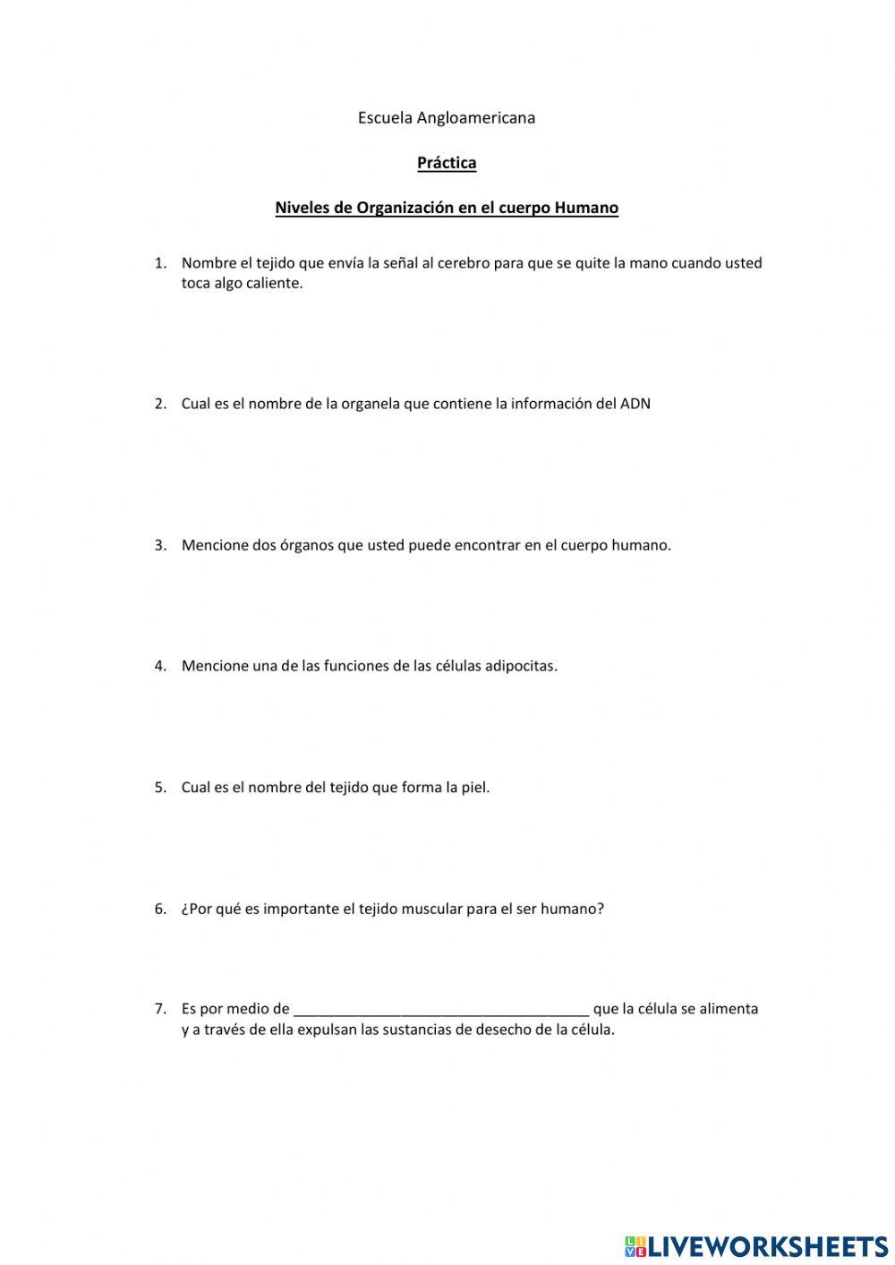 Organizacion del sistema humano