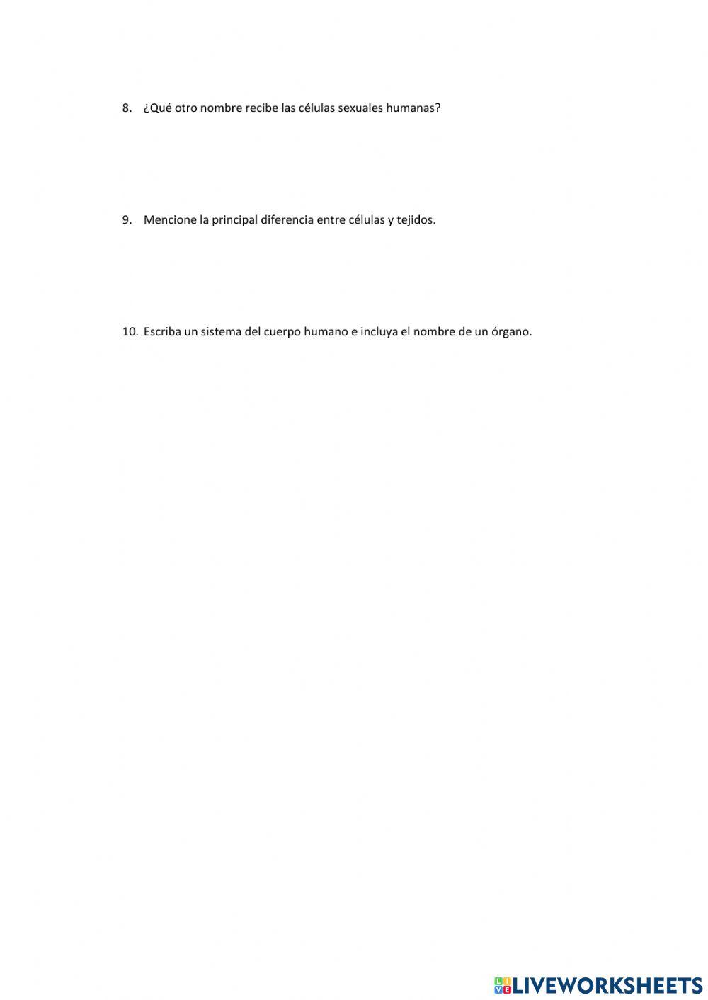 Organizacion del sistema humano