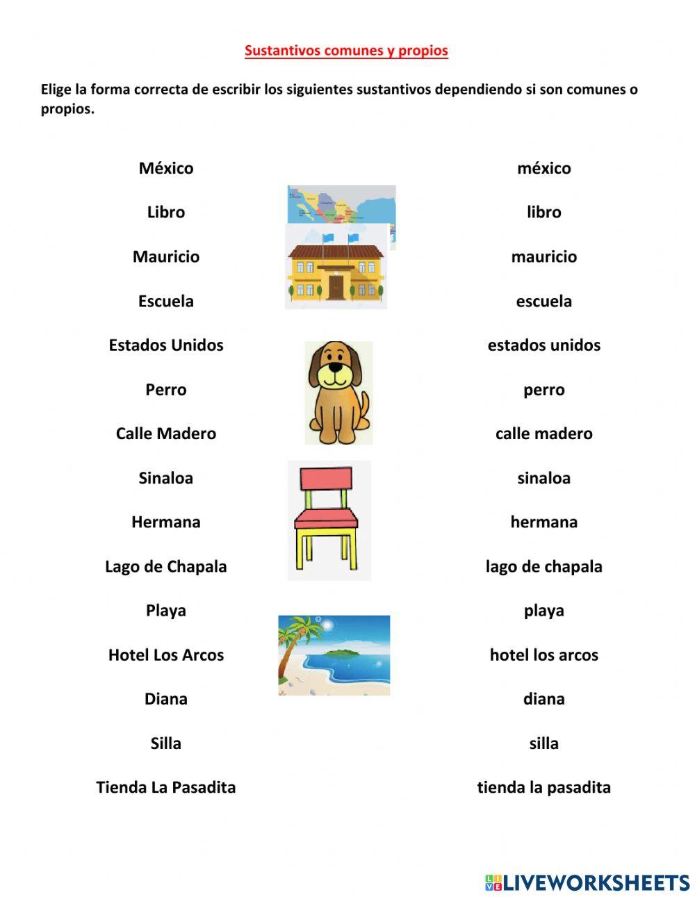 Sustantivos Propios Y Comunes Lectoescritura Exercise Live, 58% OFF