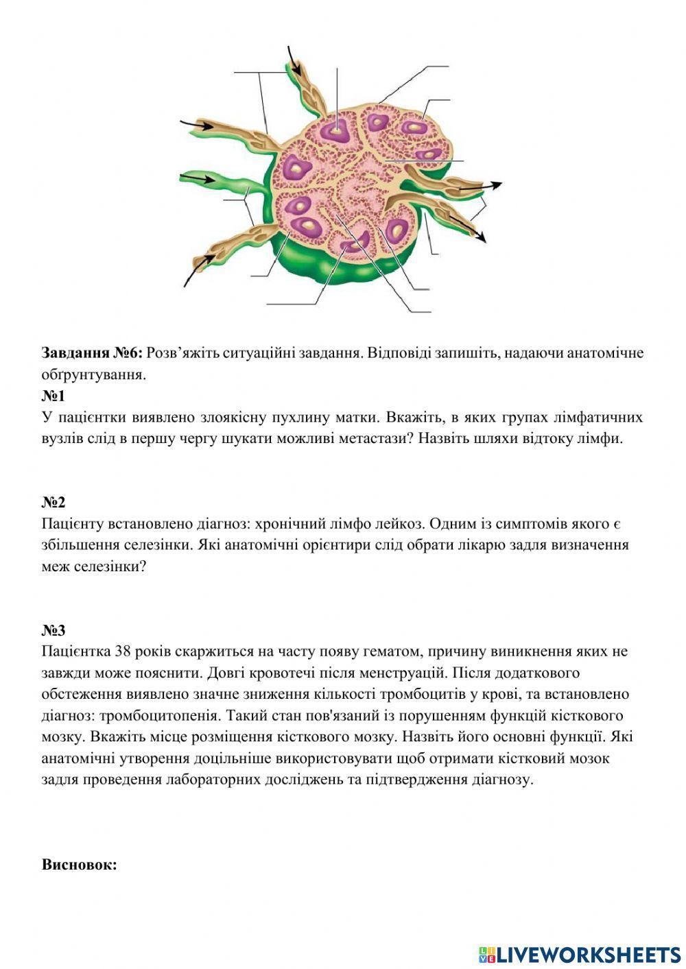 Практичне заняття №29