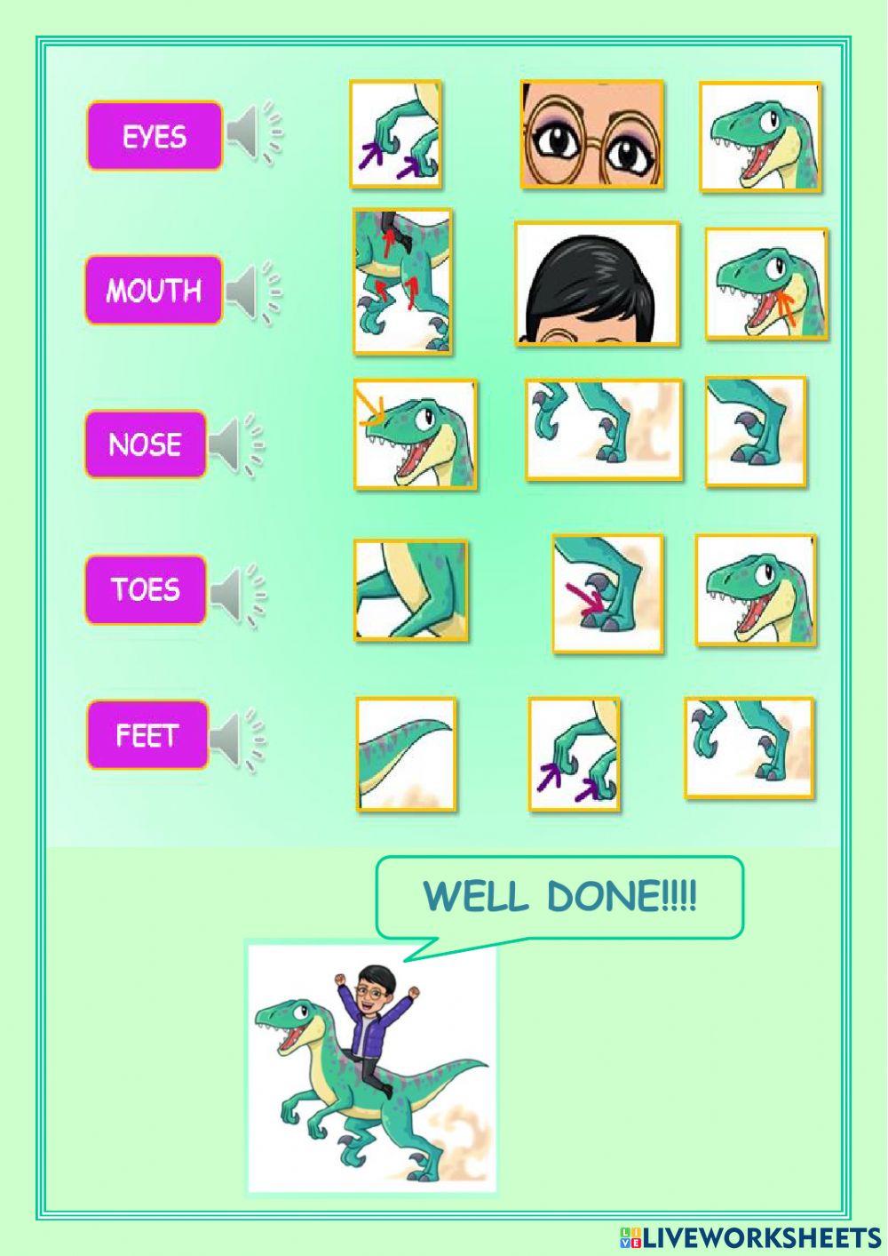 Parts of the body multiple choice