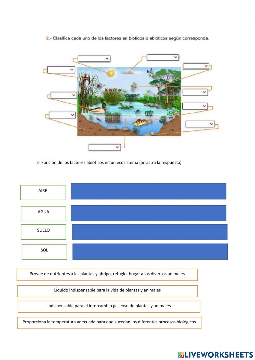 Ecosistemas y desequilibrio ecológico