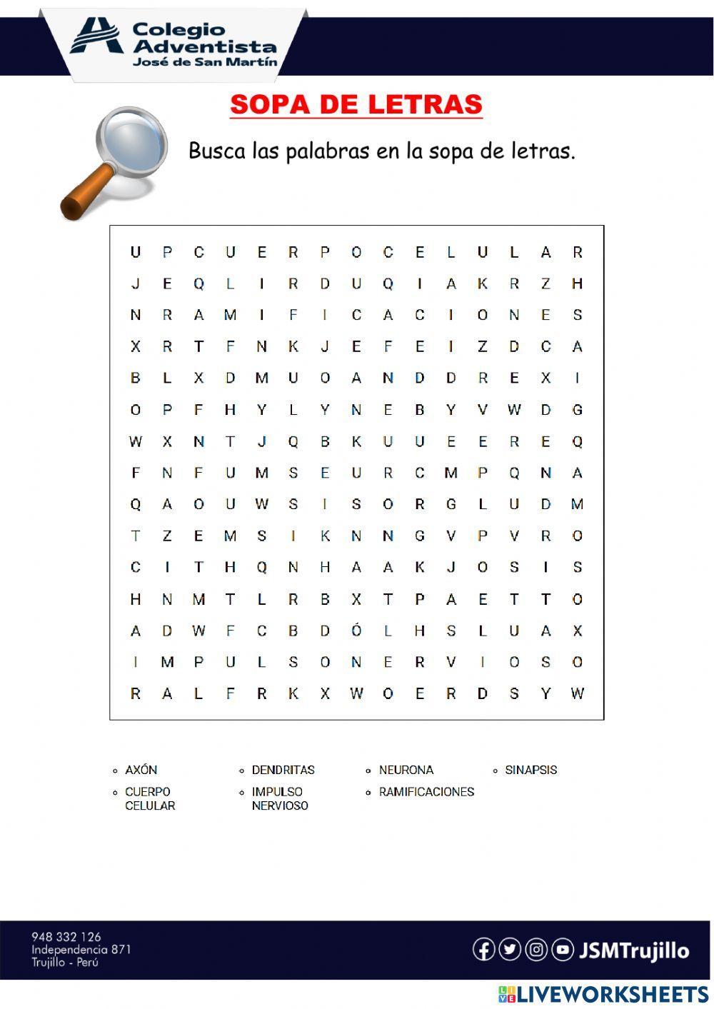 La neurona pupiletras