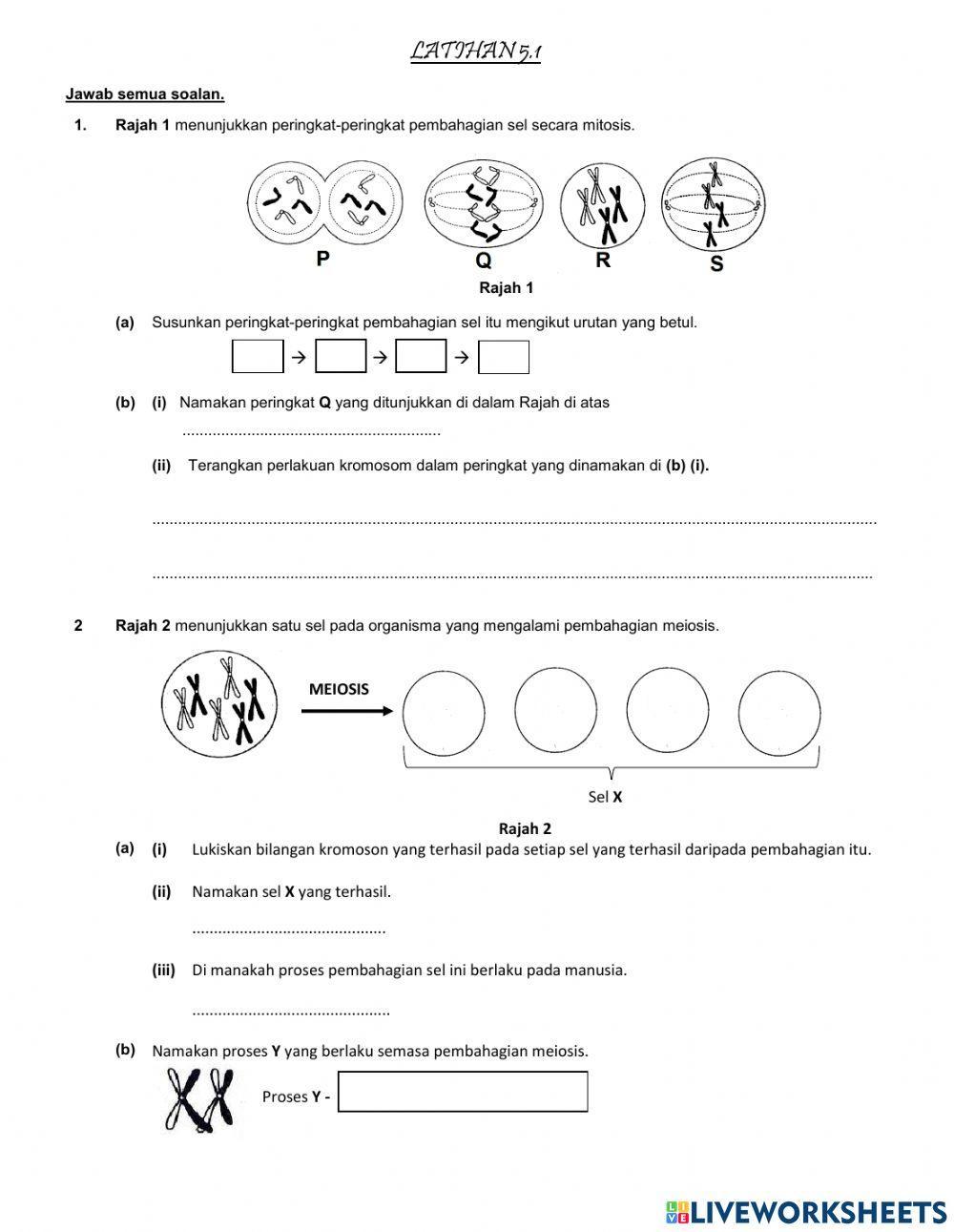 Mitosis dan meiosis