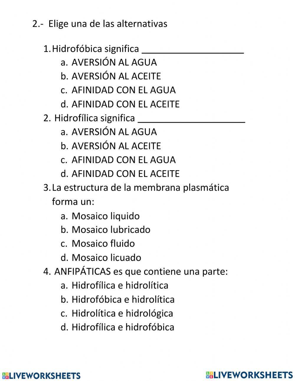 Membrana plasmática