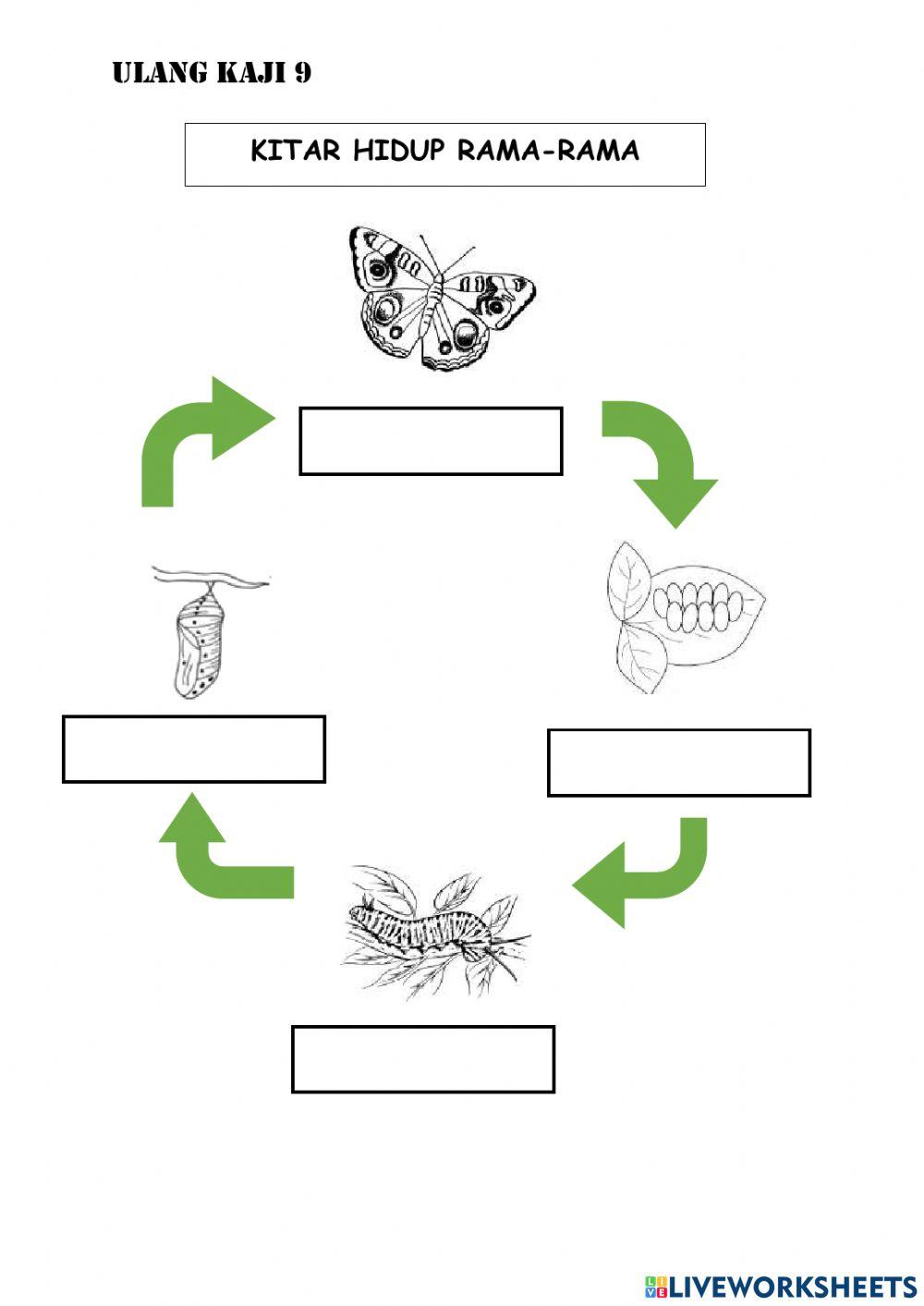 Ulangkaji (Haiwan) tahun 2