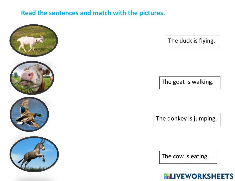 Review 5 - diagnostic week