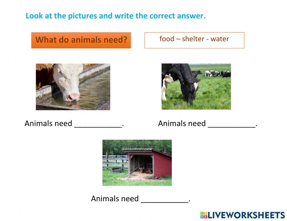 Review 5 - diagnostic week