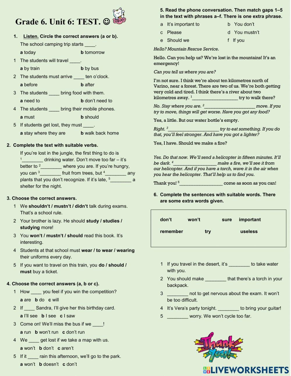 Grade 6. UNIT 6: TEST.