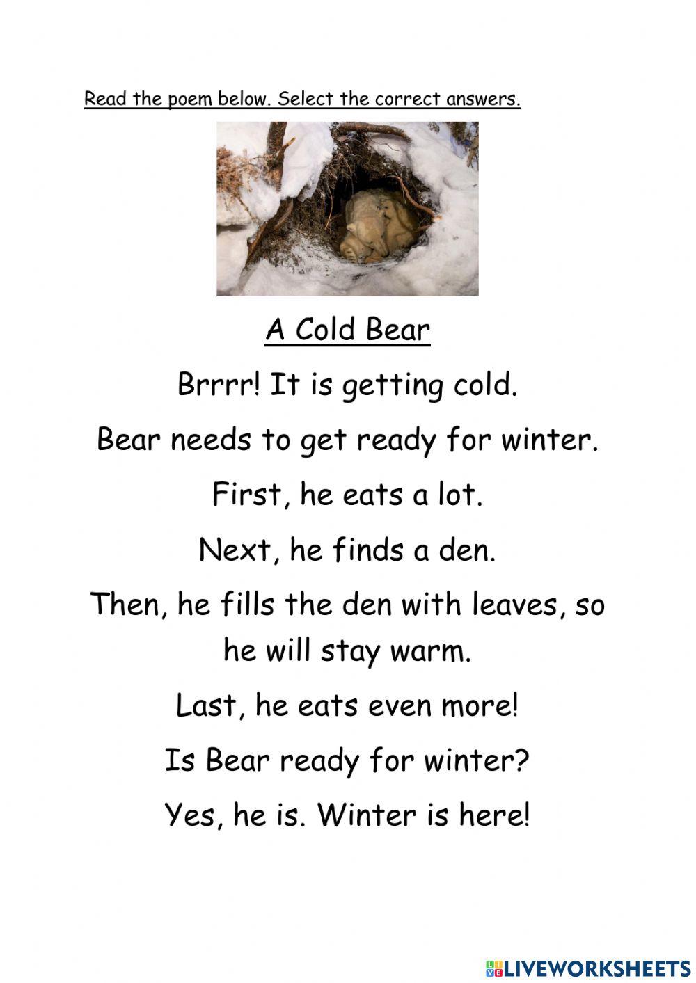 POEM: A Cold Bear