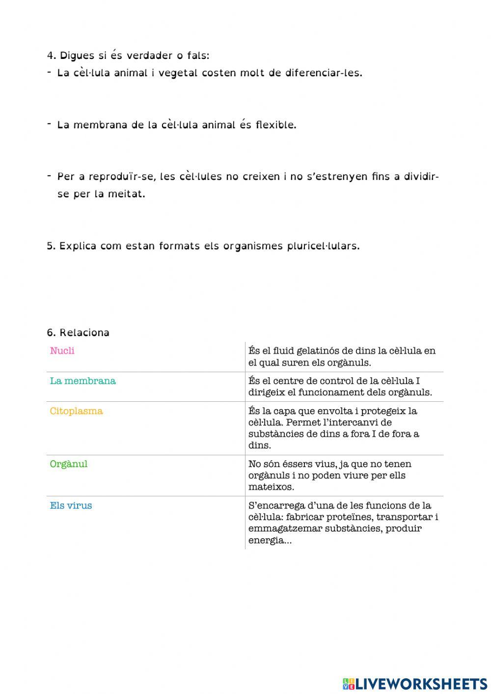 Avaluació cèl·lula 2