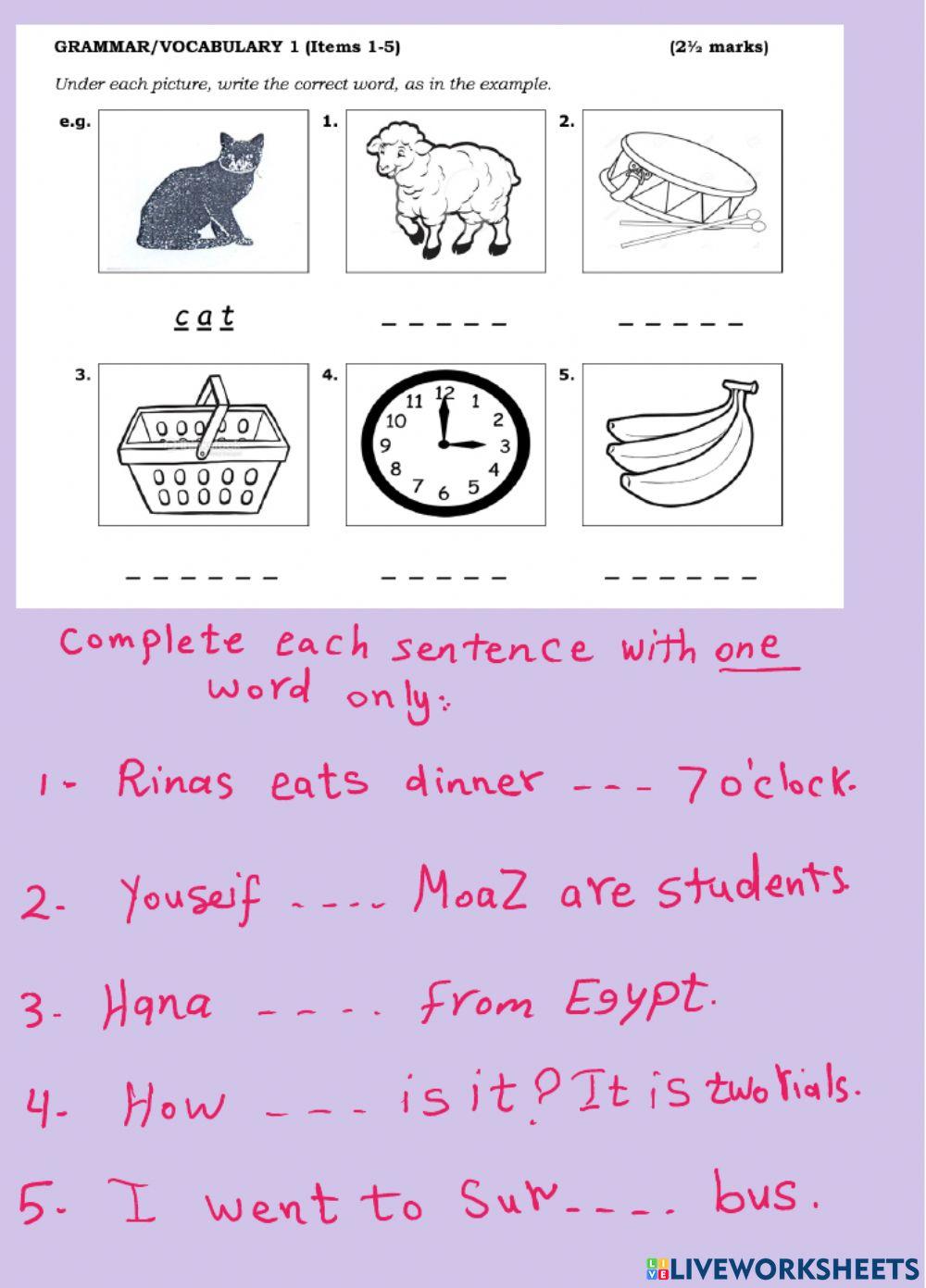 Grammar and vocabulary