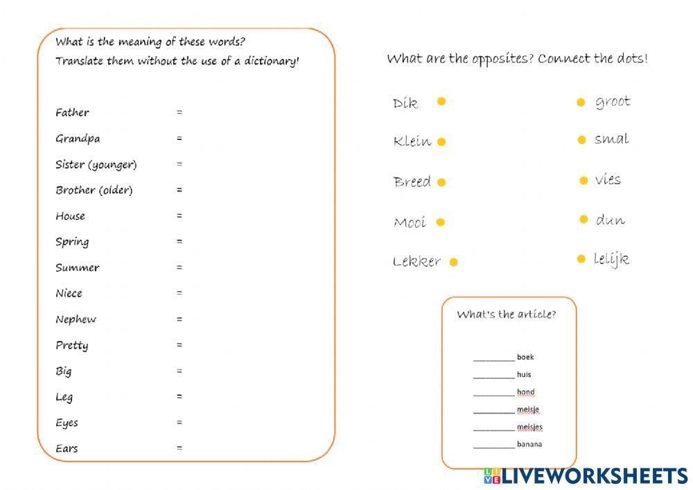 Vocabulary, months, family, bodyparts, article