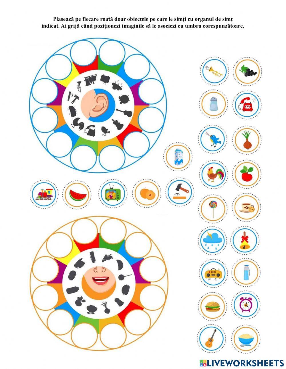 Organe de simț: auzul și gustul