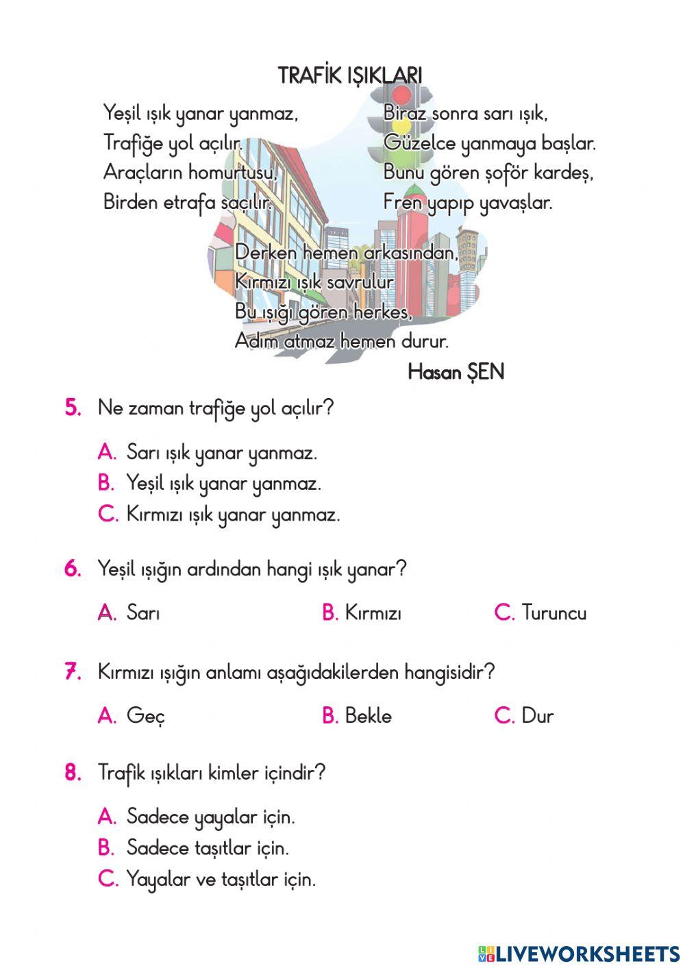 TEST-Türkçe Okuma Anlama