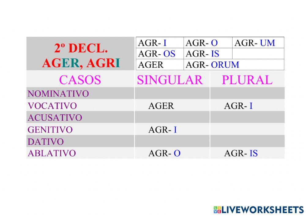 2ªDeclinación Masculino