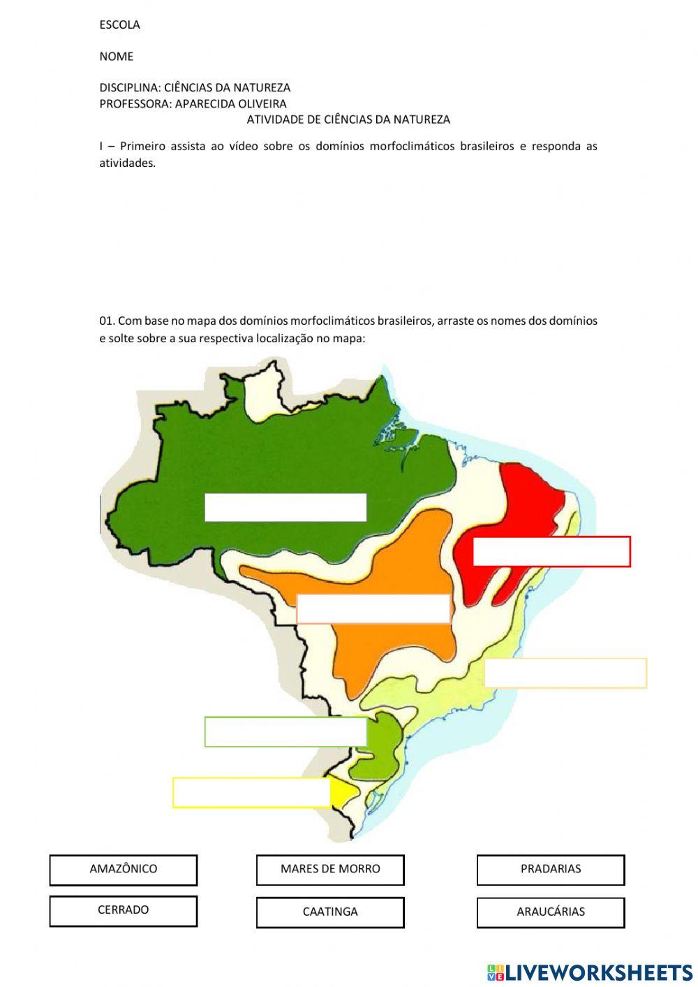 Domínios morfoclimáticos do Brasil: quais são? - Brasil Escola