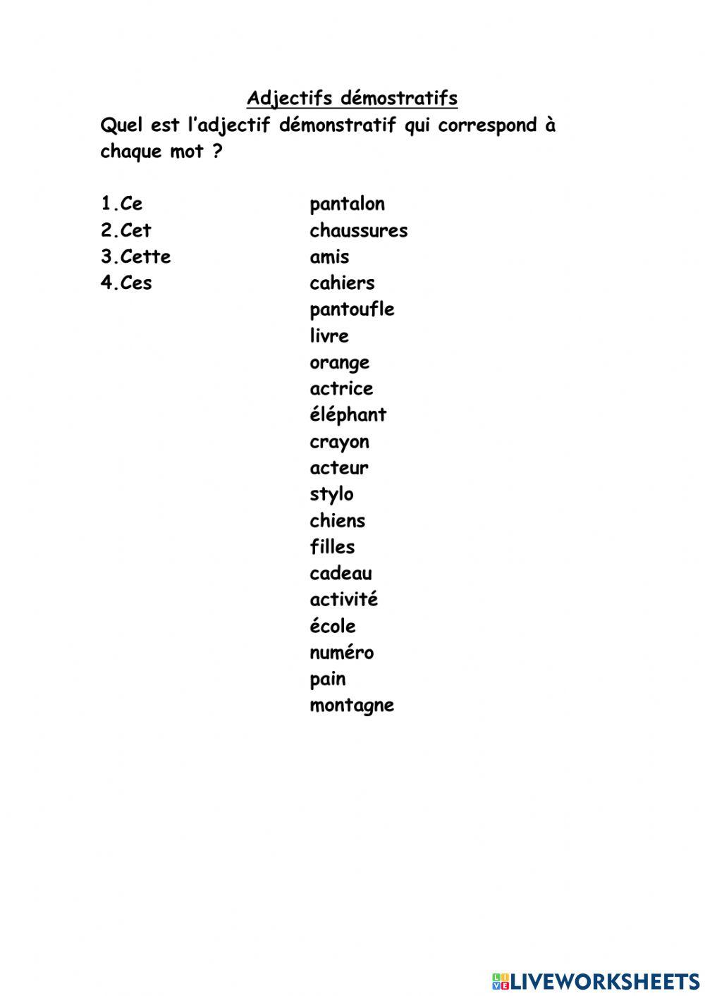 Adjectif démonstratifs