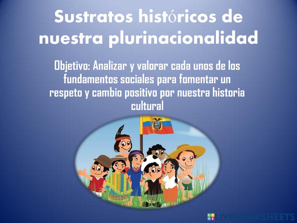 Plurinacionalidad