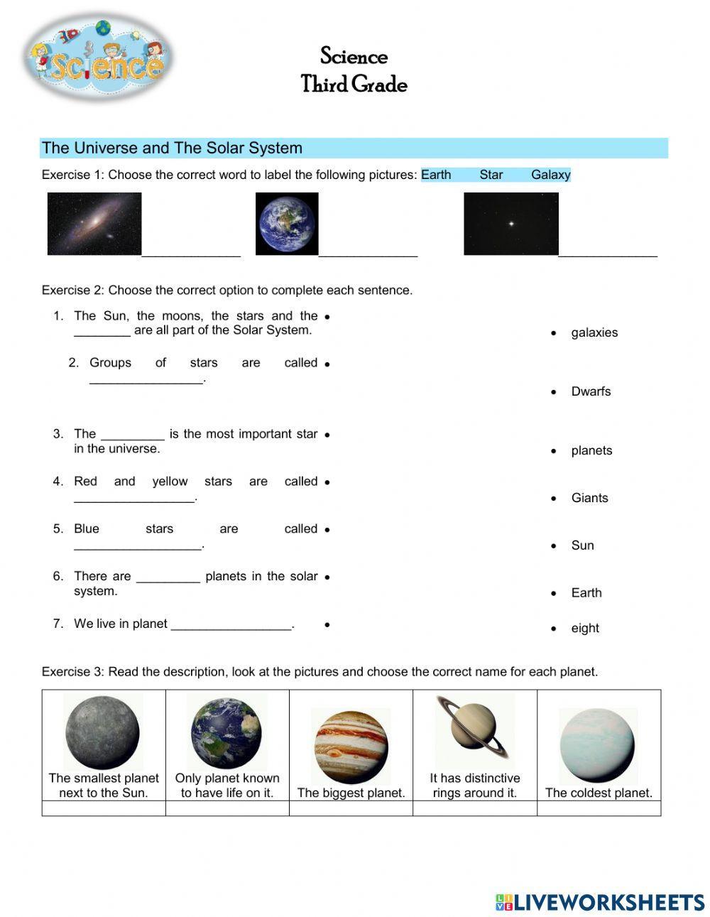 Science Worksheet