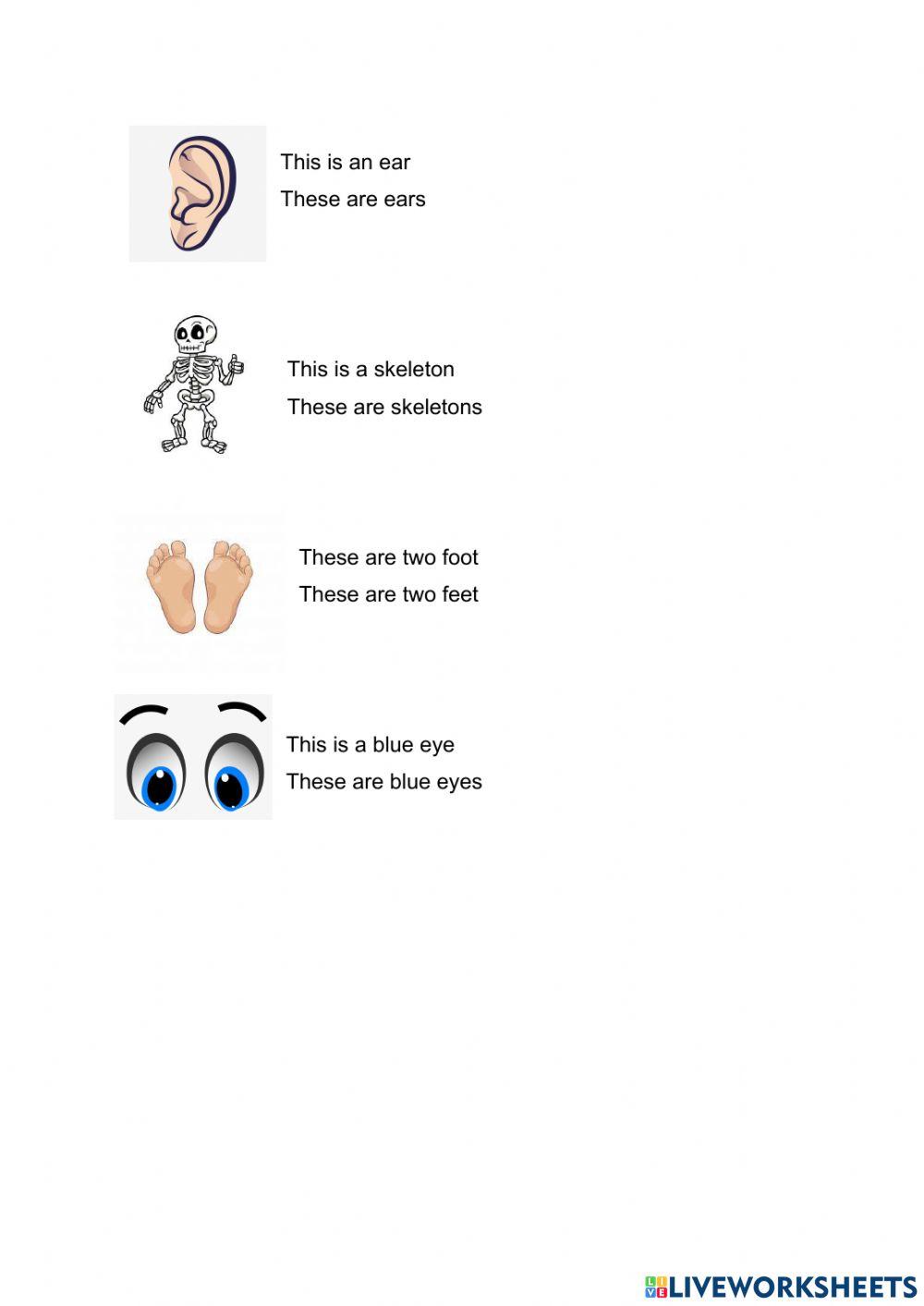 Review units 4 and 5