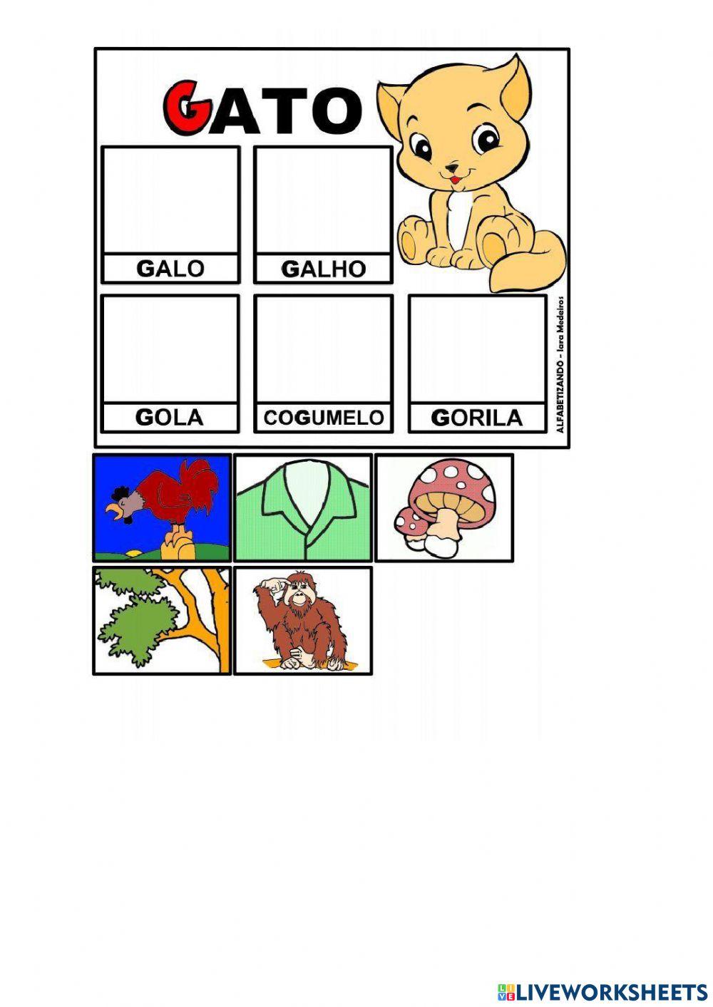 Atividade de reforço