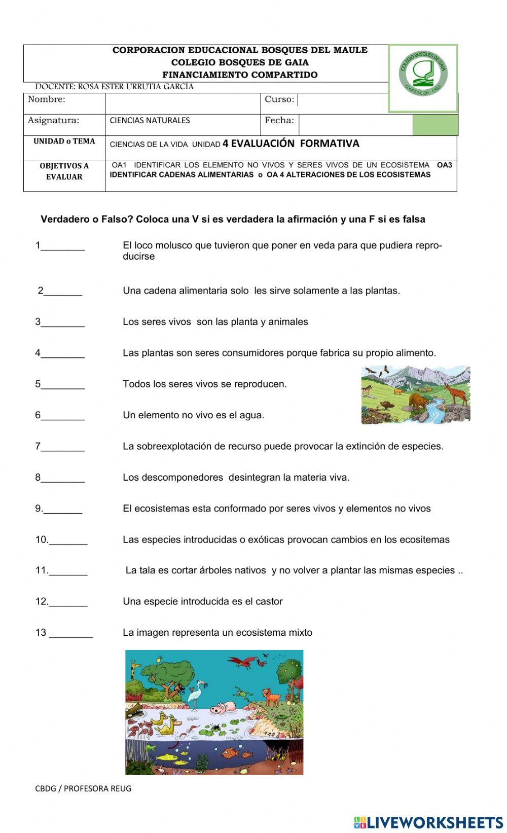 Cadenas alimenarias y los ecosistemas