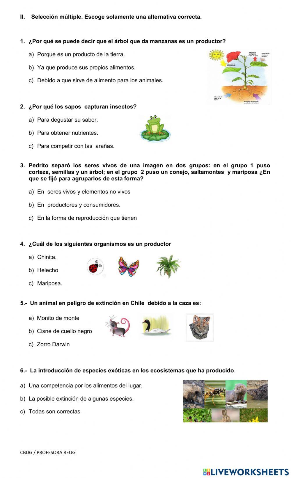 Cadenas alimenarias y los ecosistemas