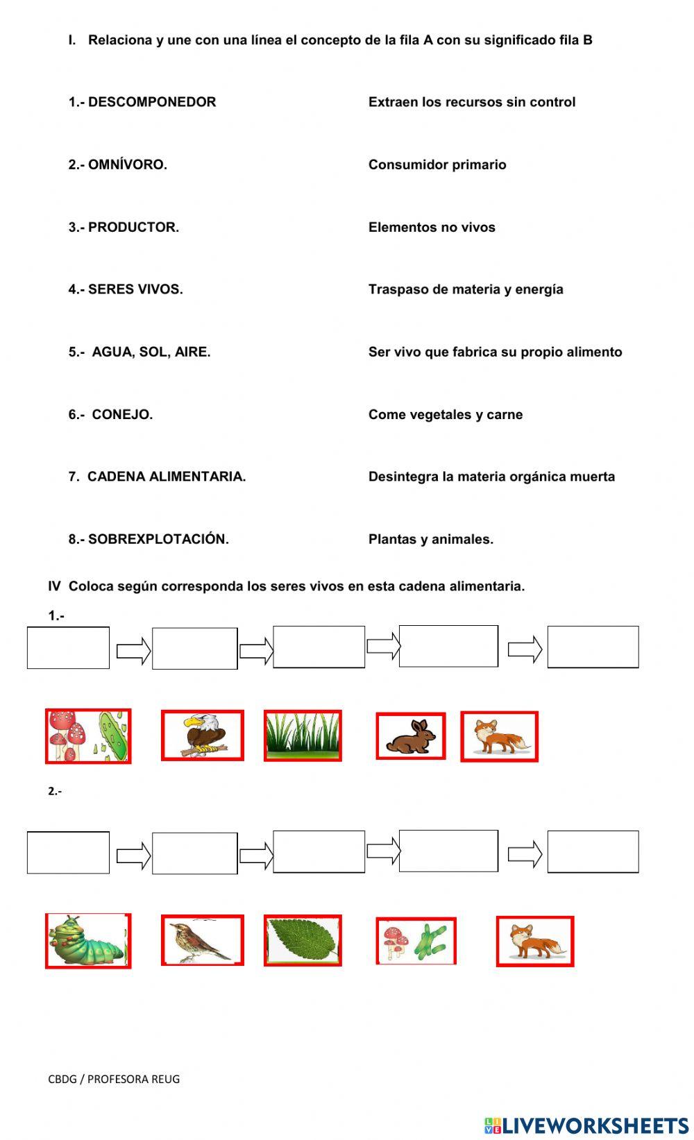 Cadenas alimenarias y los ecosistemas