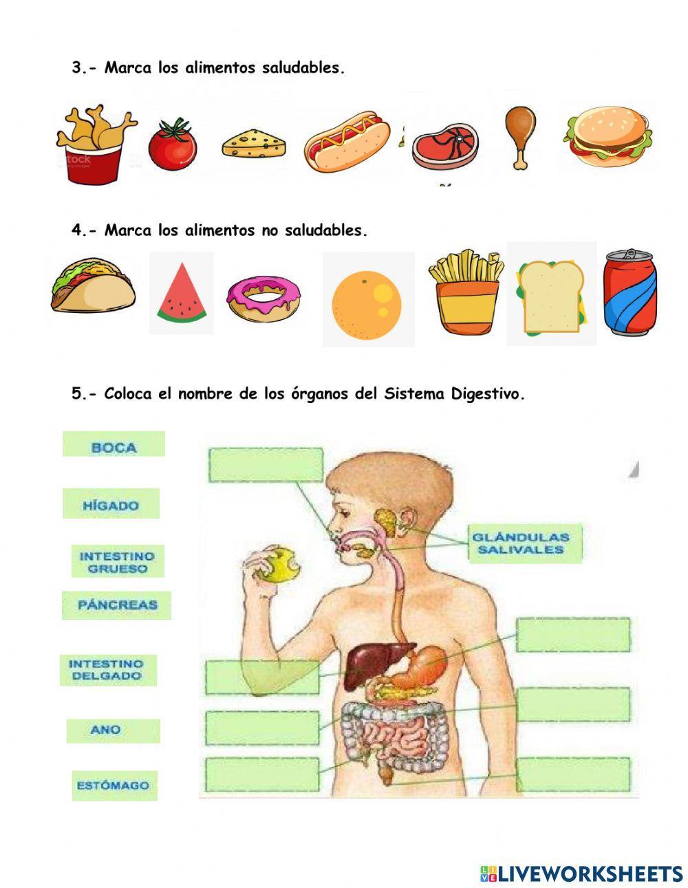 Examen bimestral de ciencia y tecnología