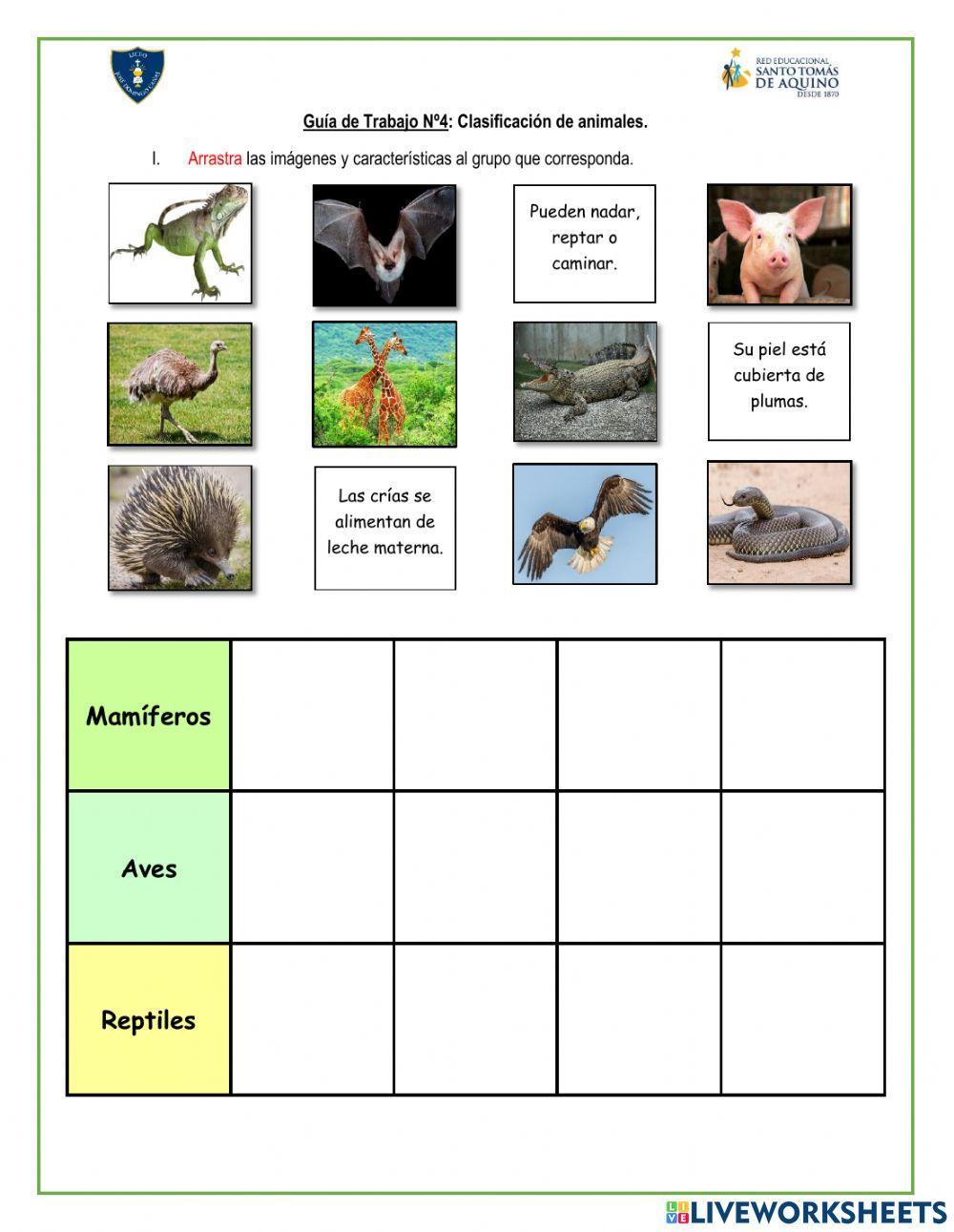 Clasificación de animales