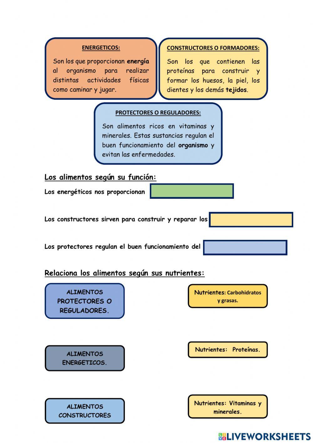 Los alimentos segun su funcion