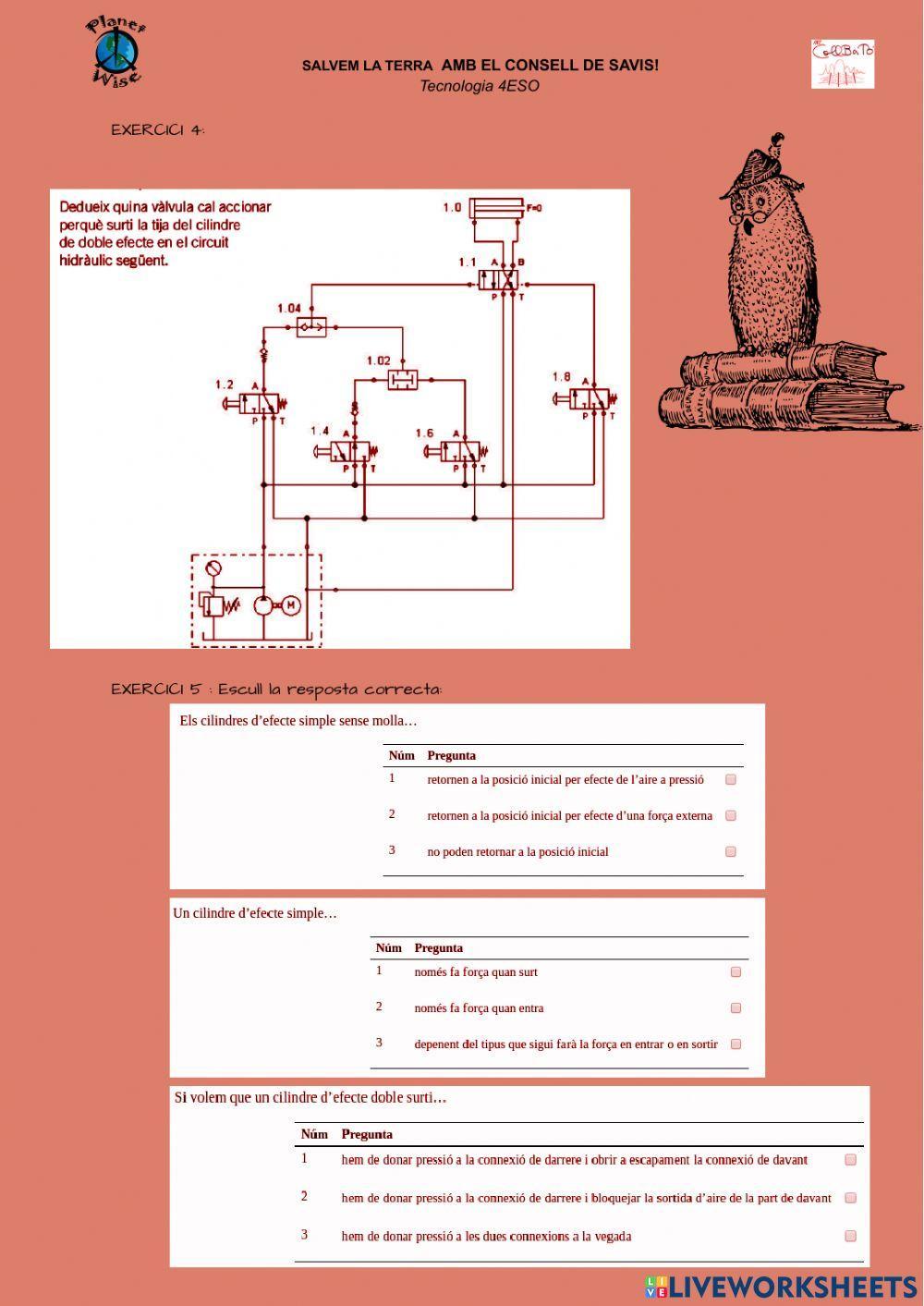 reunió 5 modificada