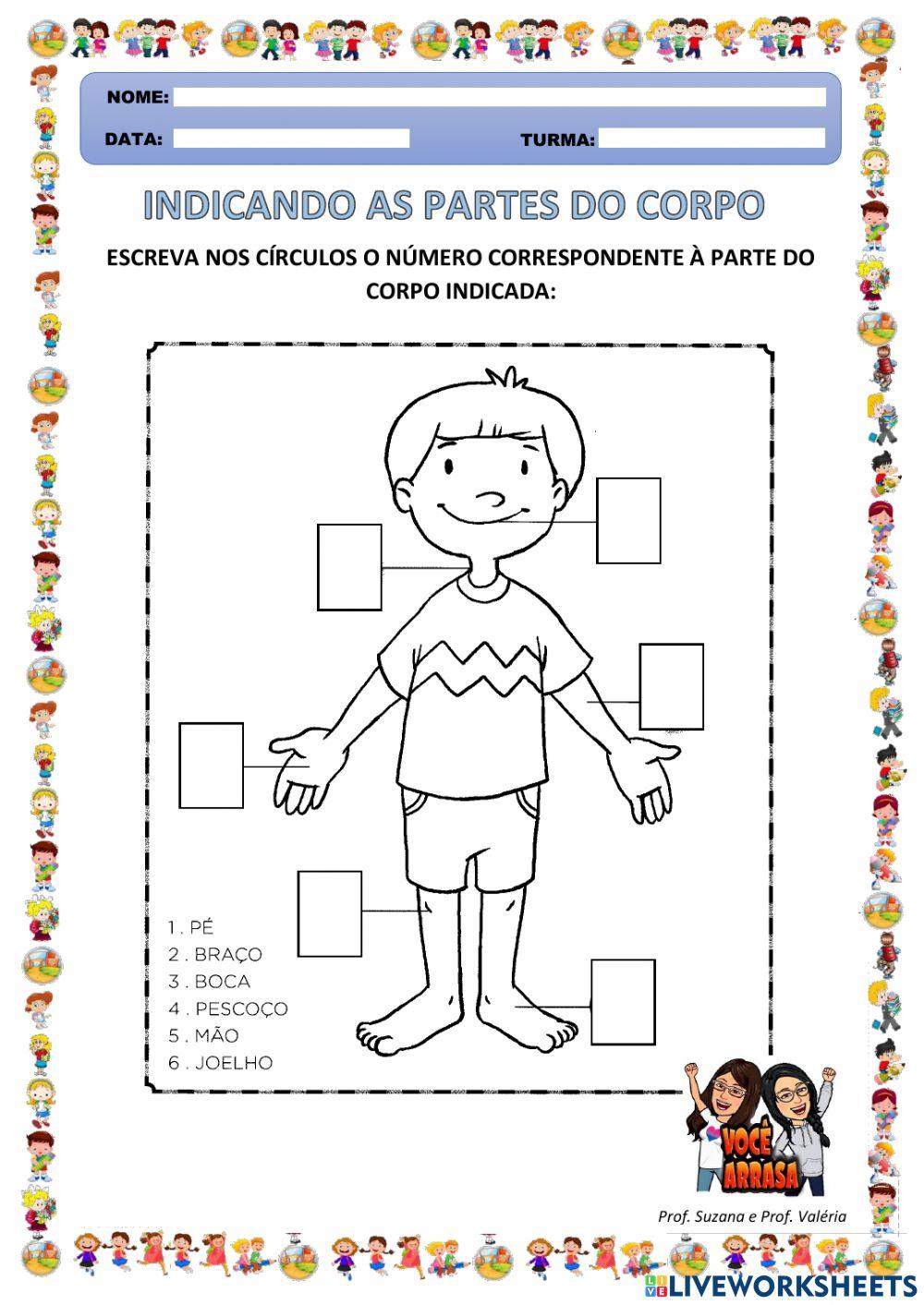 Indicando as Partes do Corpo