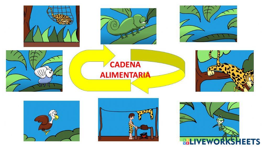 Cadena Alimentaria