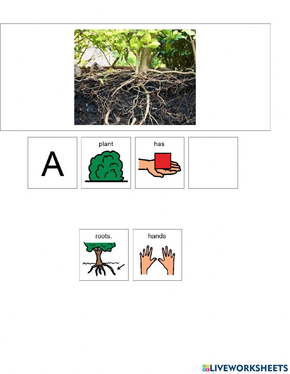 A Plant has A Plant has