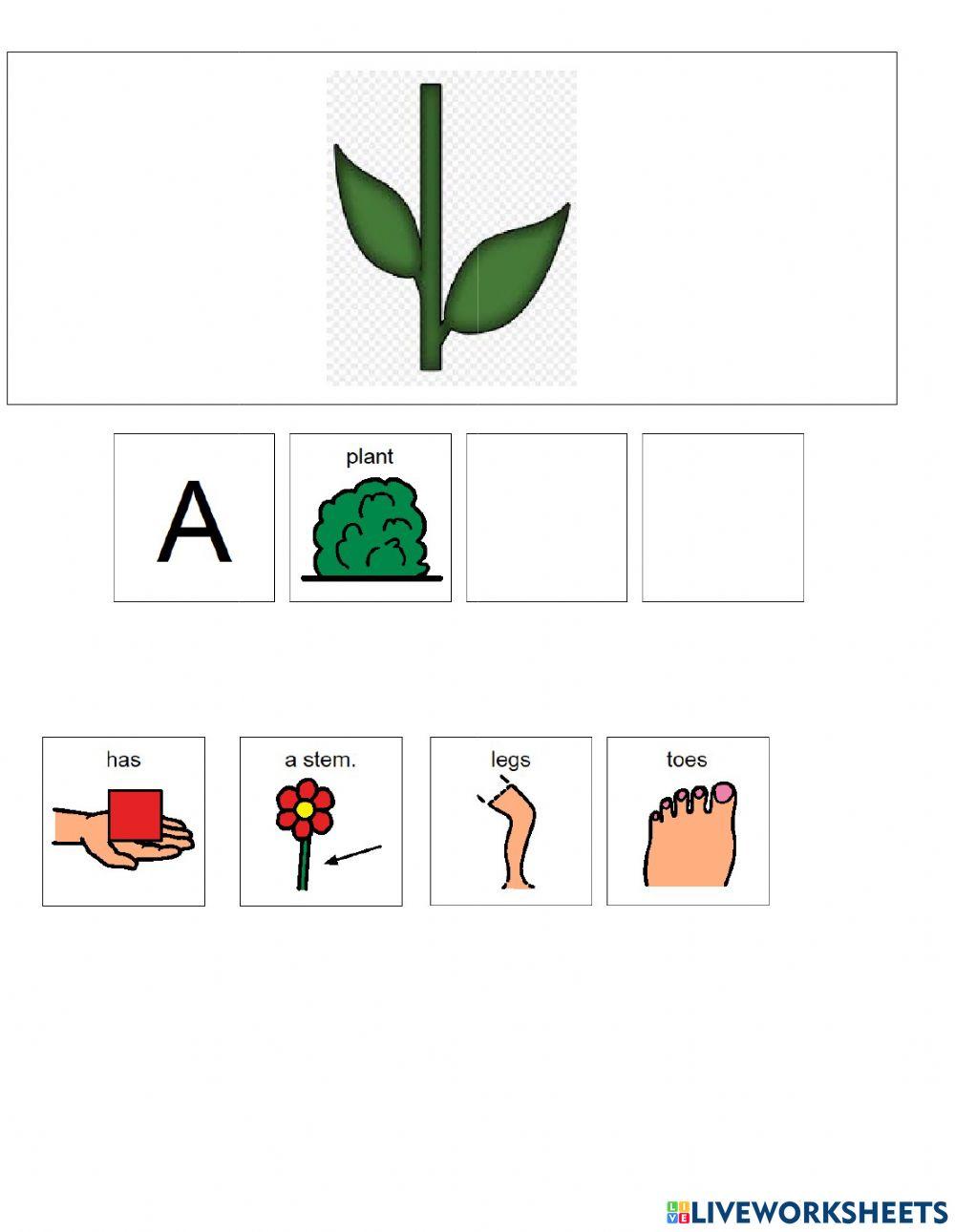 A Plant has A Plant has