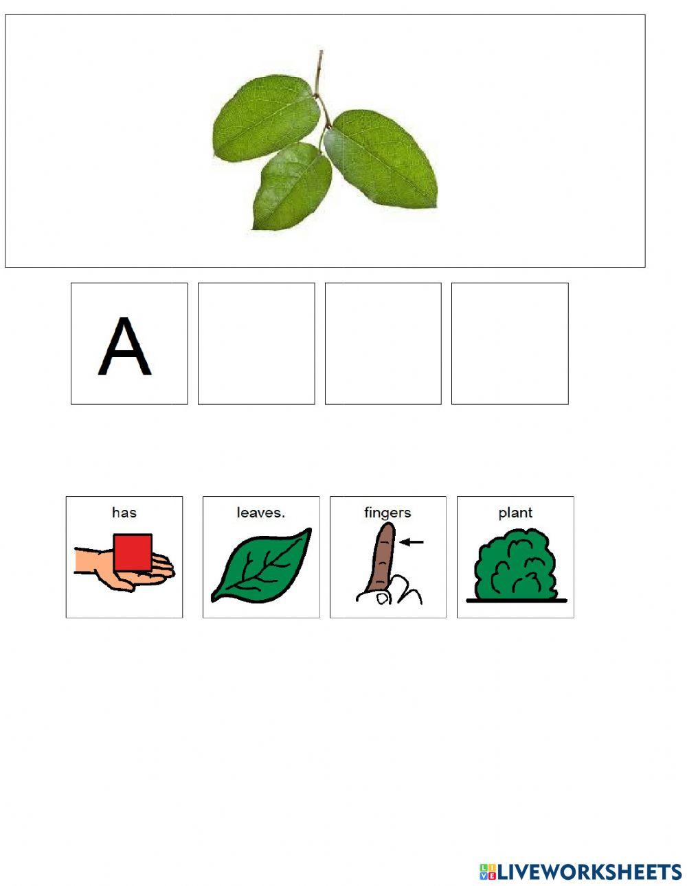 A Plant has A Plant has