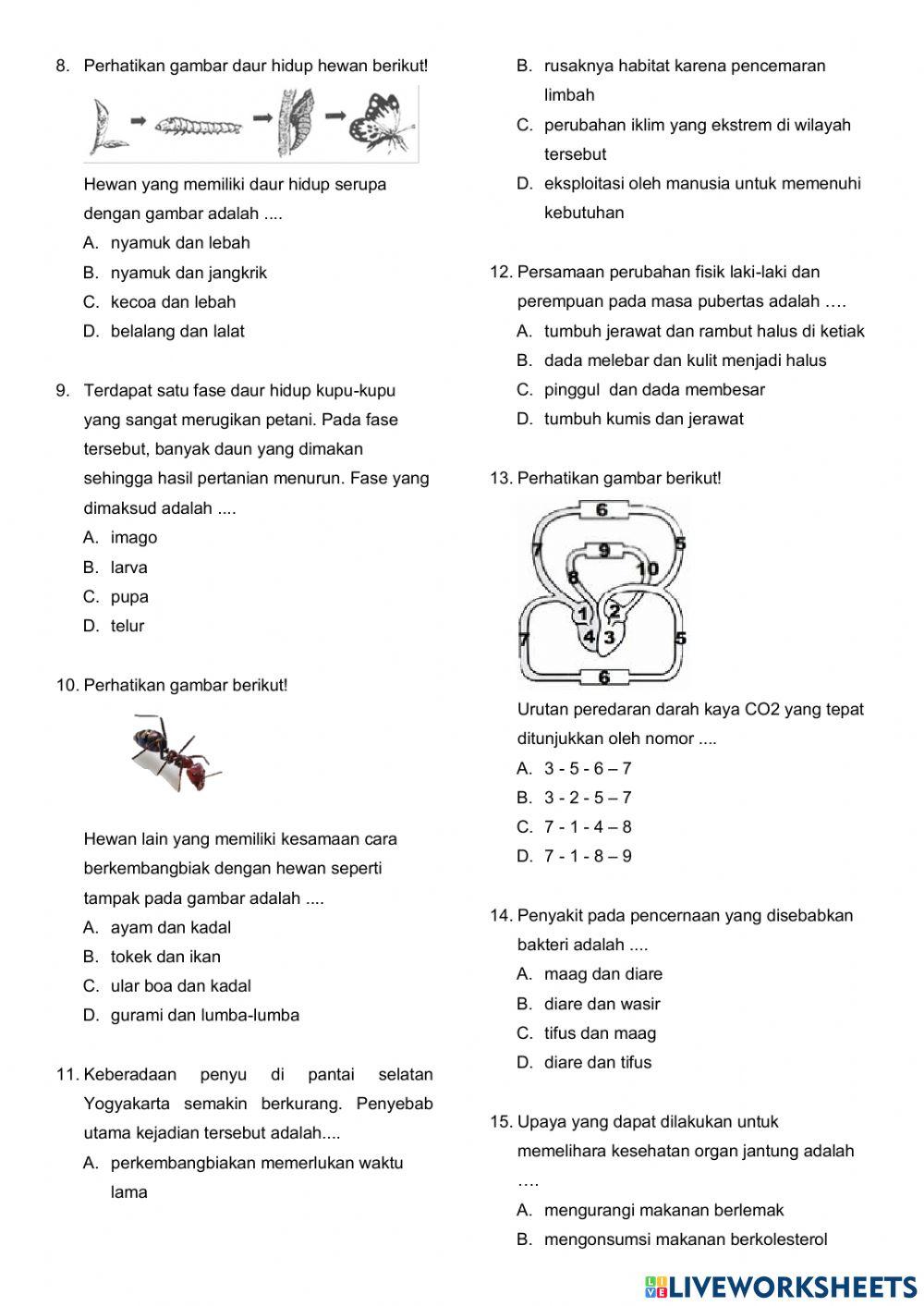 SIAP ASPD IPA Paket 2