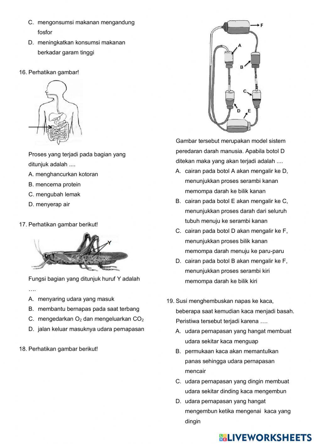 SIAP ASPD IPA Paket 2