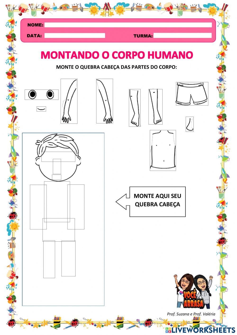 Montando o Corpo Humano