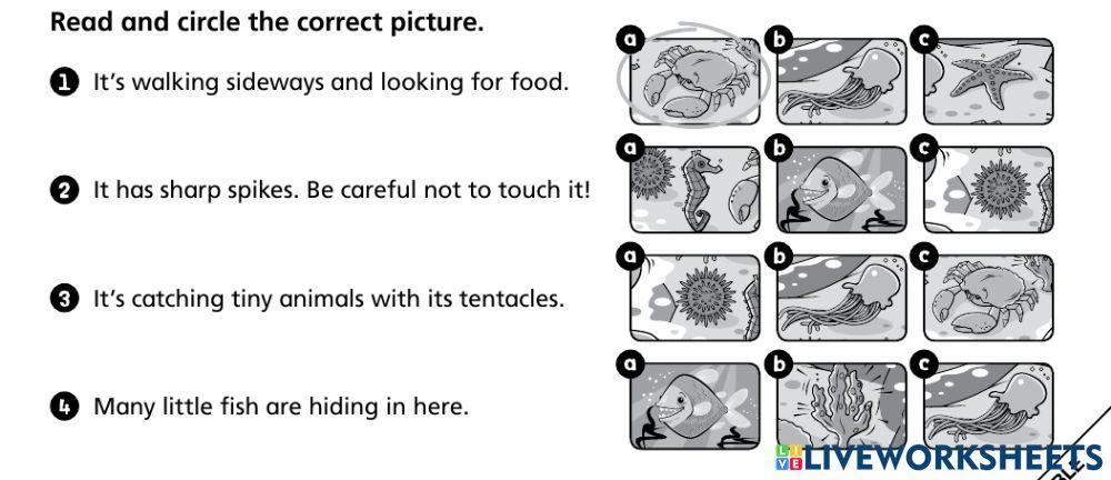 Tiger 3 Unit 6 Cross curricular